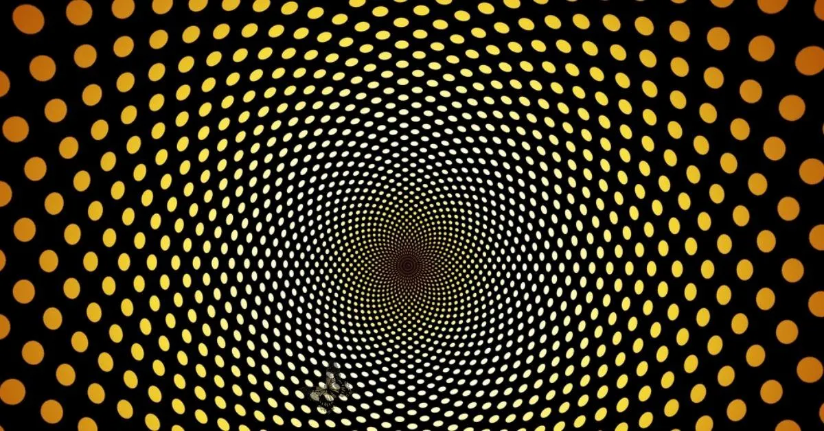 Find the Hidden Butterfly