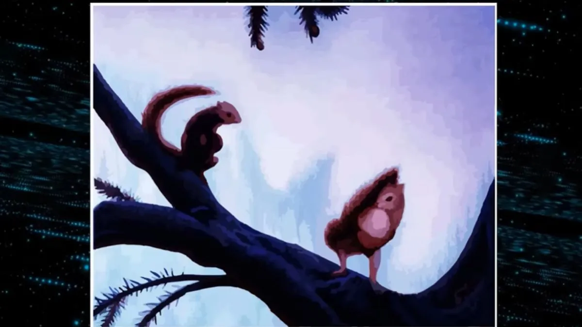 Spot the hidden Lady Face among squirrels in this stunning optical illusion