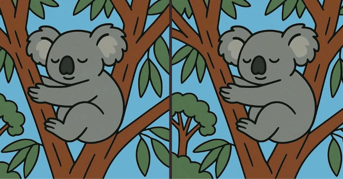 Spot the 3 Differences in Koala Sleeping on the Tree Beat the 19-Second Challenge!