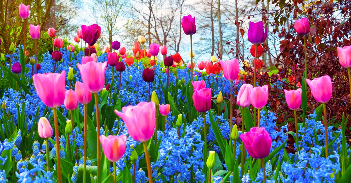 Which Season Is Known As The King Of All Seasons?