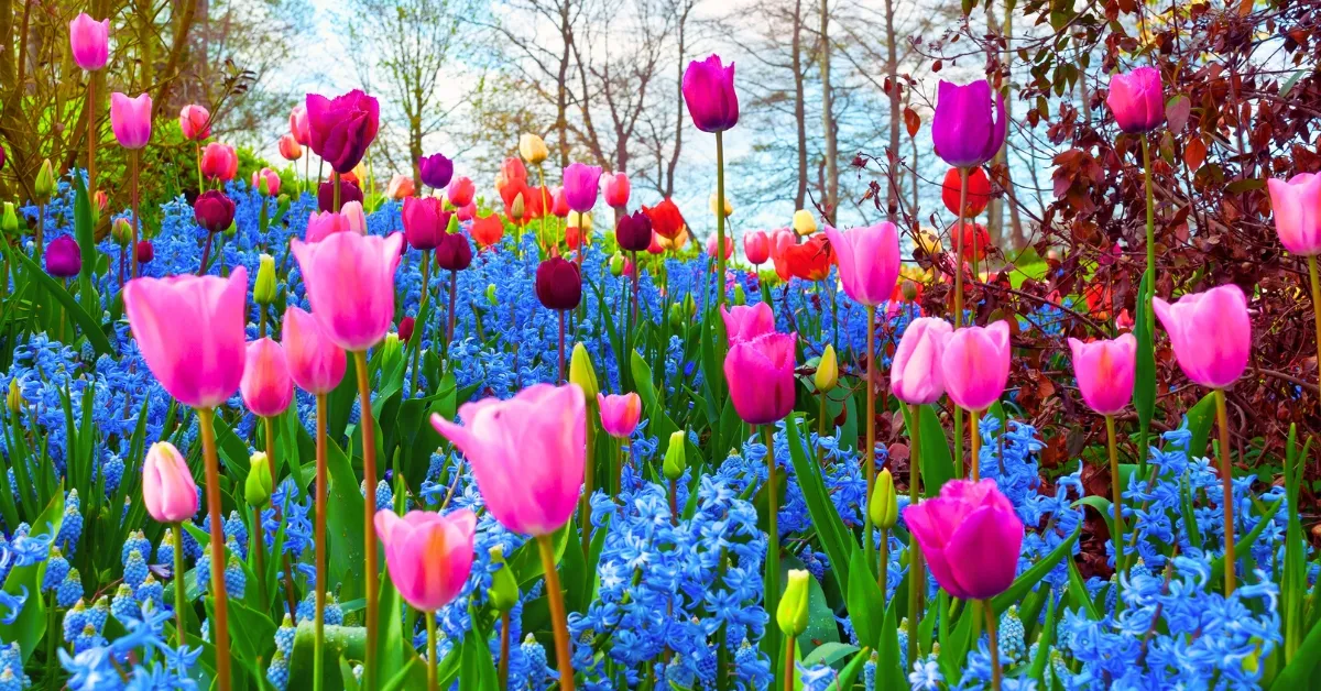 Which Season Is Known As The King Of All Seasons?