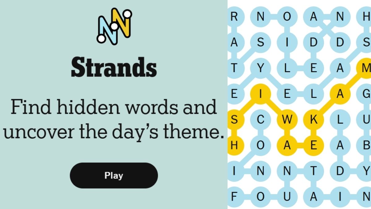 NYT Strands Today: Check Hints, Spangram, November 28, 2025