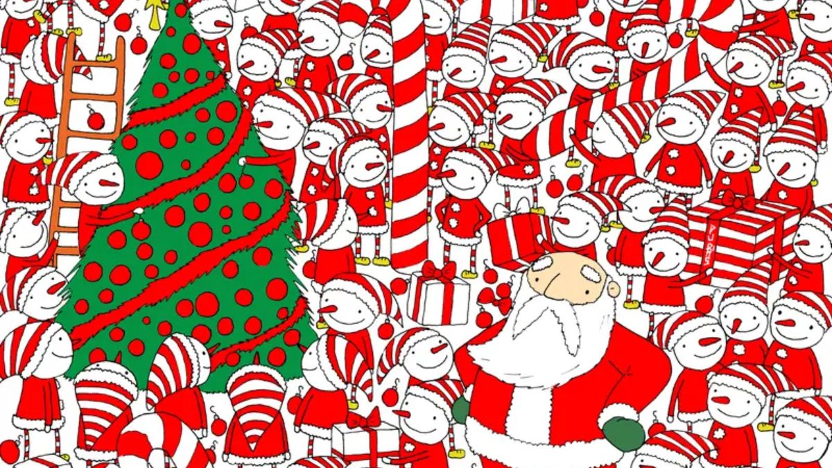 If You Have Sniper Eyes Then Spot Santa's Hat In This Christmas-themed Puzzle In 25 Seconds!