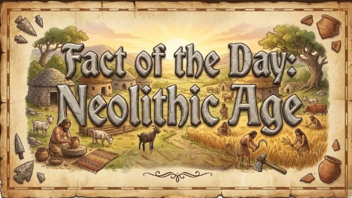 10 Important Facts About the Neolithic Age