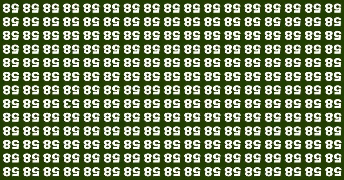 Find the Hidden Odd Number