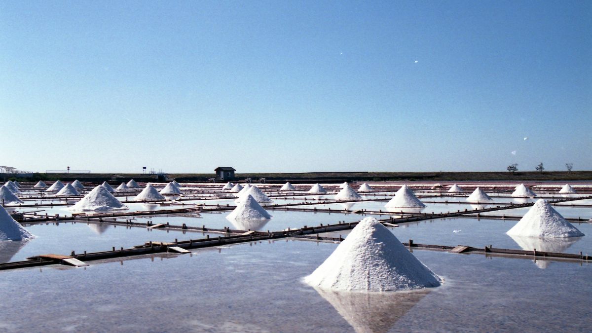 Which Is the Saltiest Sea in the World?

