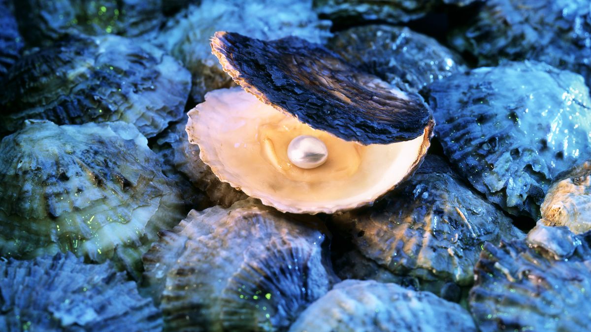 Which Island Is Known as the Pearl of the Indian Ocean?