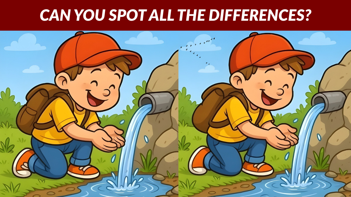 Spot the Differences: Only Sharp Eyes Can Find 3 Differences in 19 Seconds!