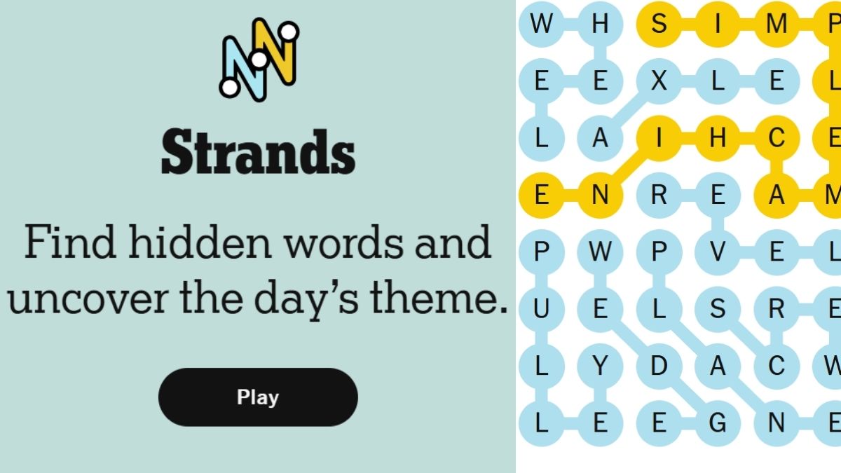 NYT Strands Today: Check Hints, Spangram, November 29, 2025!