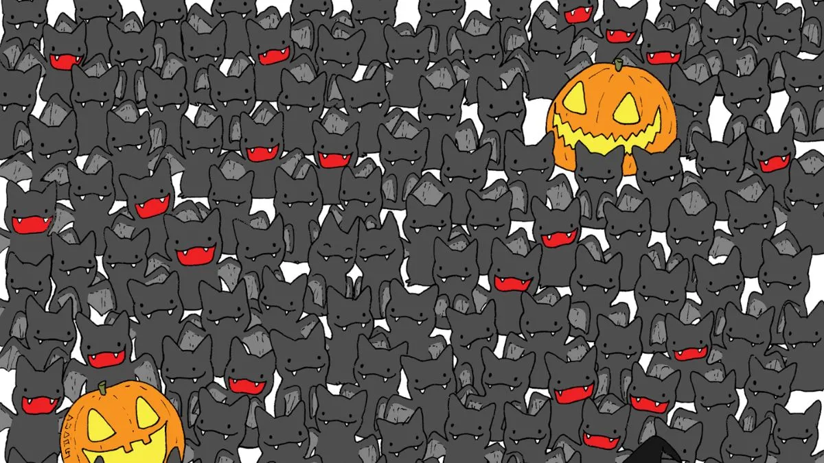 Can you find a cat hidden in this crowd of bats?