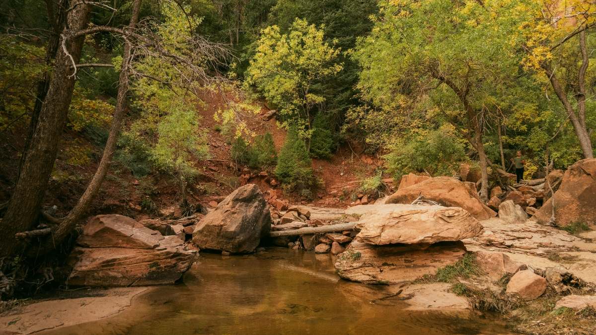 List of the Top 10 Largest National Parks In the U.S.
