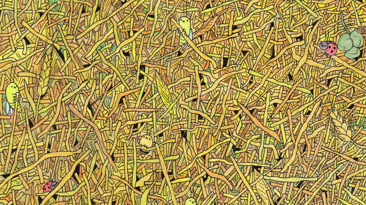 Nobody Could Spot The Needle Hidden In This Haystack In 28 Seconds! Are You Sharp Enough To Find It?