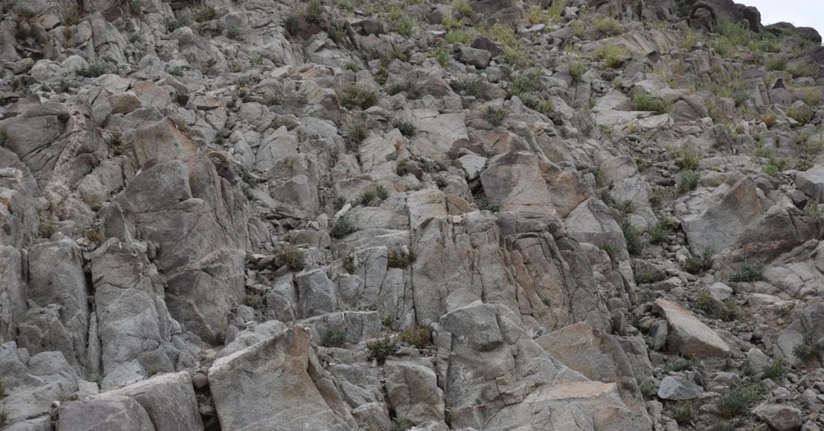 This is Your Chance to Prove Your Hawk-Eye Vision! Spot the Hidden Goat in this Mountain Themed Optical Illusion