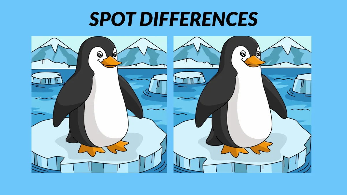 Spot 3 Differences in 15 Seconds!