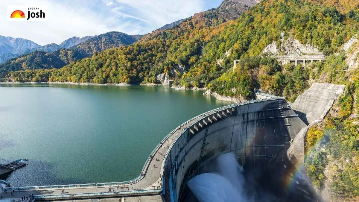 Which Engineering Branch deals with the Dam Engineering?