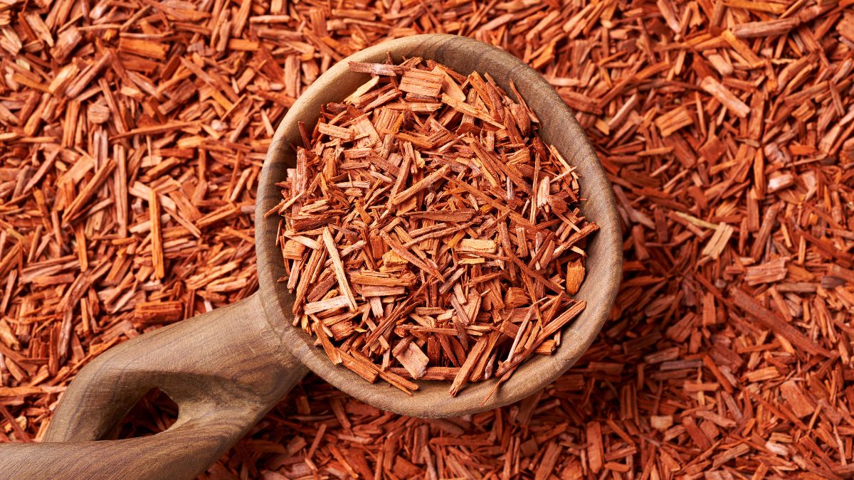 Top 10 Most Expensive Woods in the World