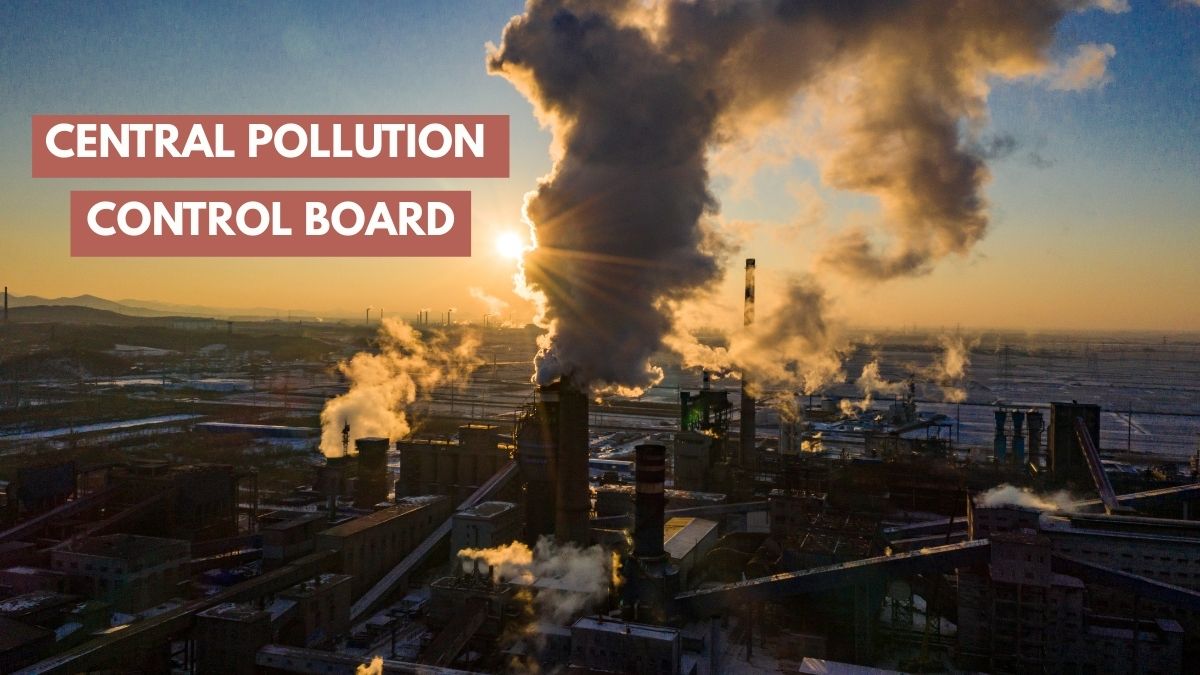 Central Pollution Control Board: Check Its Role, Significance, Functions & Key Responsibilities