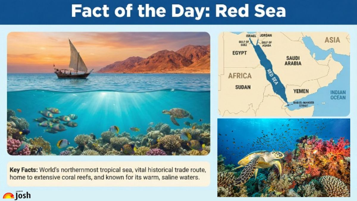 Fact of the Day: 10 Interesting Facts on the Red Sea