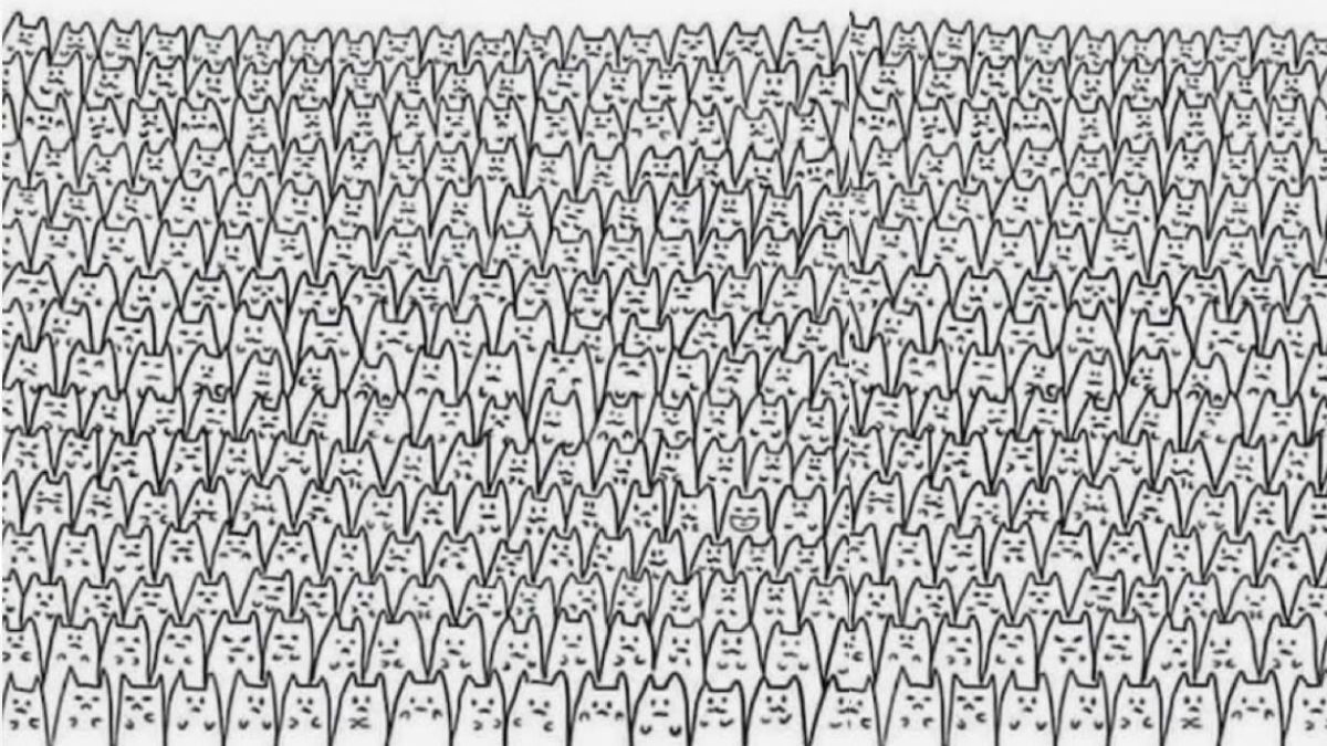 Everyone can see the cats, but using your Ultra-HD Eye, can you spot the Smiling Cat in this Optical Illusion?