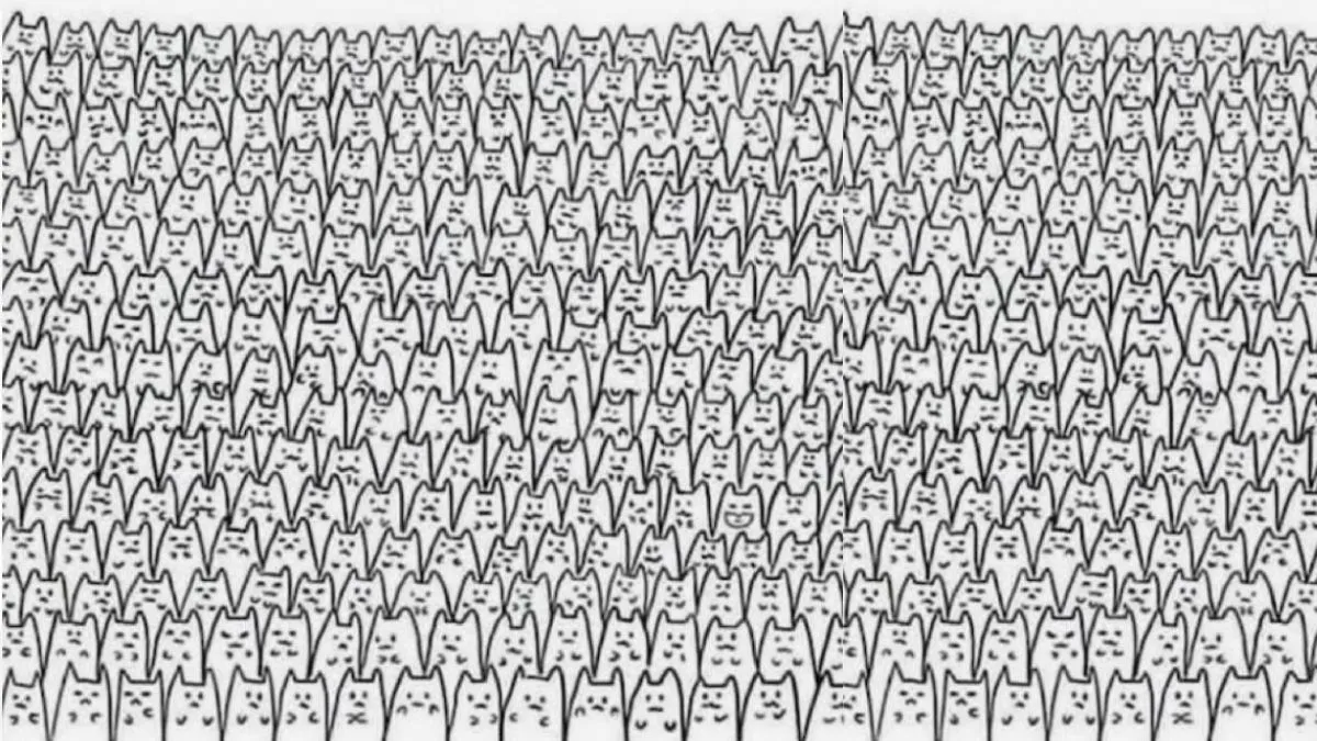 Can you spot the Smiling Cat in this Optical Illusion?