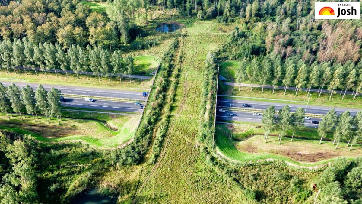 एशिया का सबसे लंबा Wildlife Corridor कौन-सा है, जानें यहां