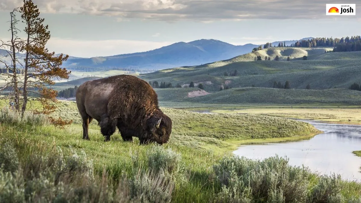 दुनिया का सबसे पुराना नेशनल पार्क
