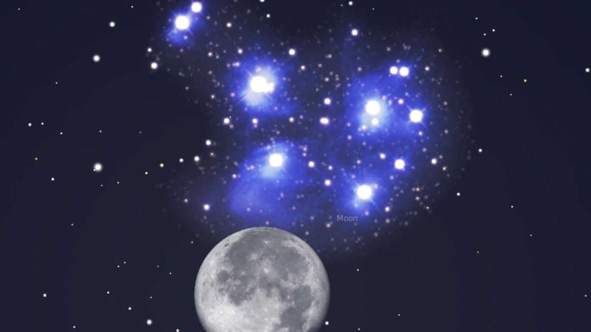 Cold Moon 2025: How to Watch the December Supermoon & Pleiades Lunar Occultation? Check Timings!
