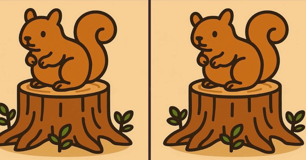 Find the 3 Differences in Squirrel Sitting on a Tree Bark Beat the 33-Second Challenge!
