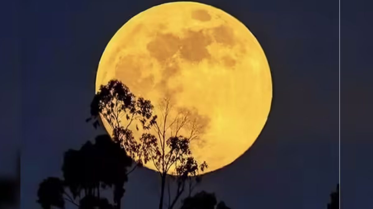 Cold Moon December 2025: Where and How to Watch the Cold Moon?