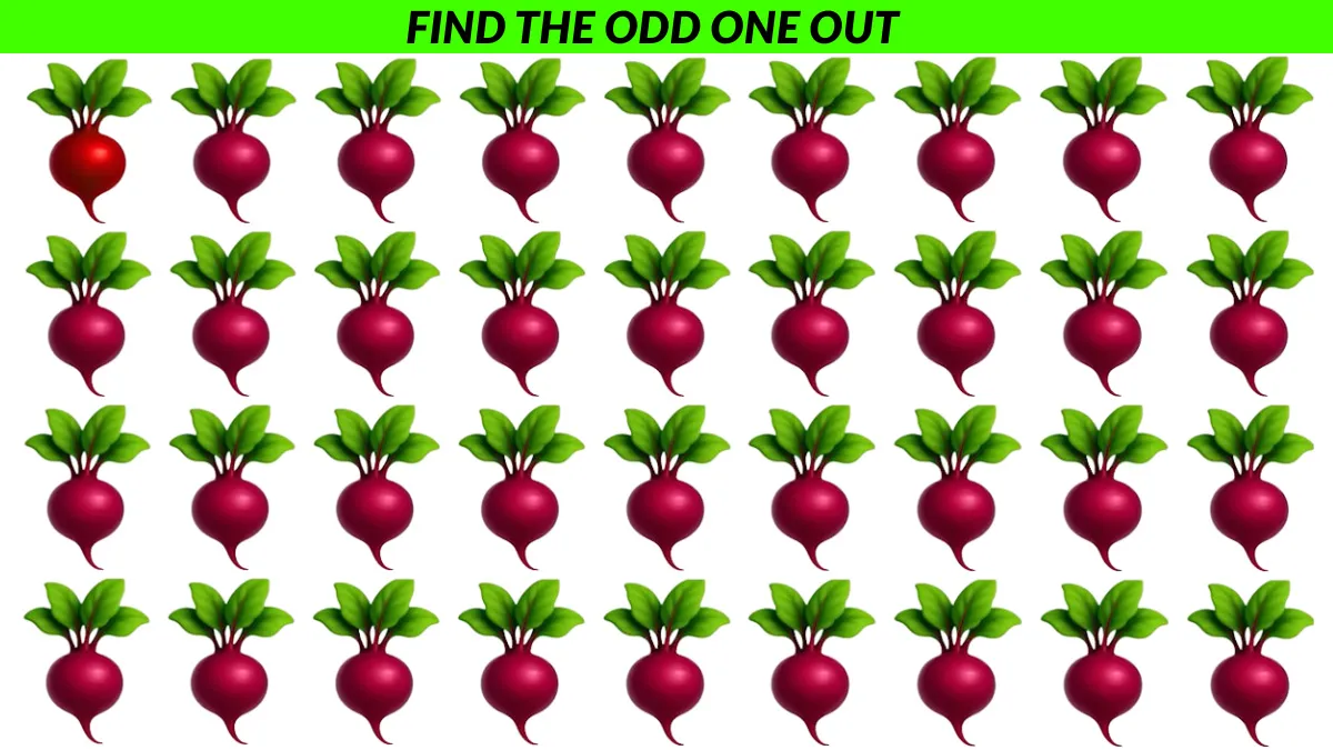 Find the odd one out