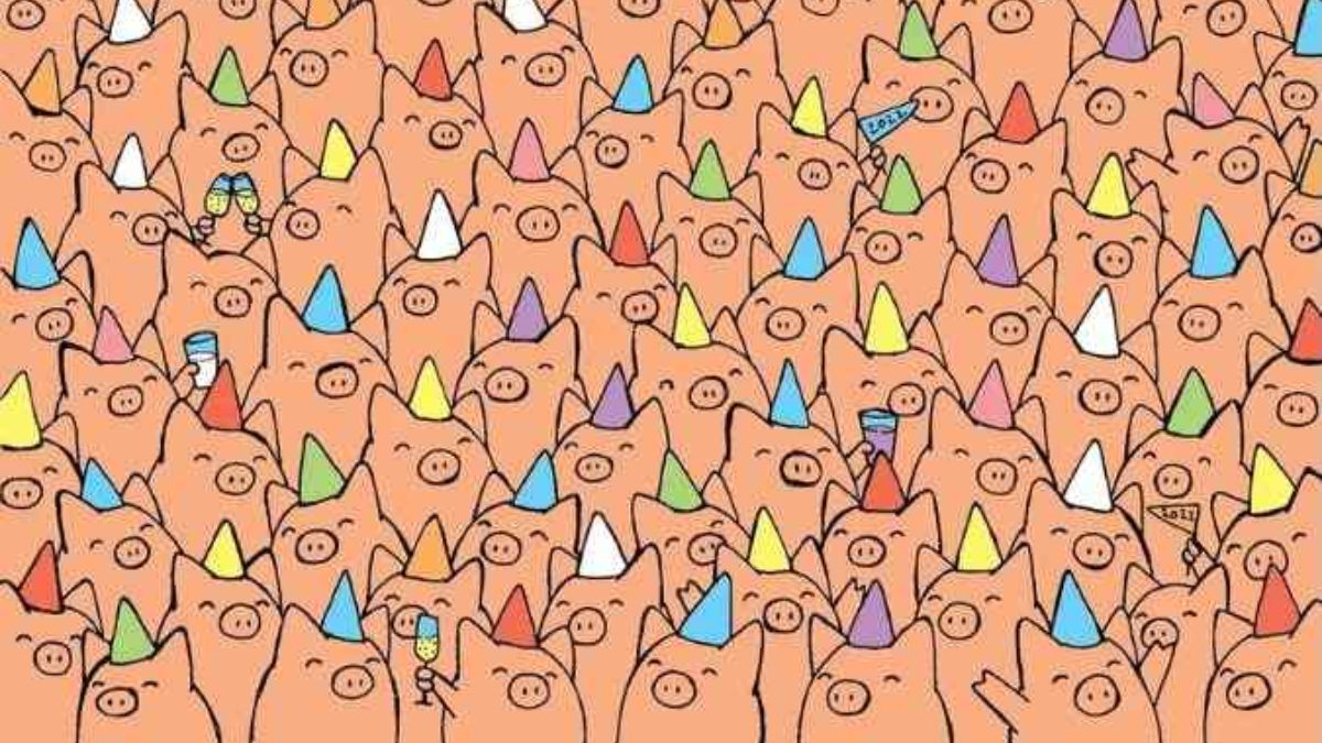There Are 3 Pigs Without Party Hats! Are You High IQ and Visually Sharp To Spot Them All In 30 Seconds?