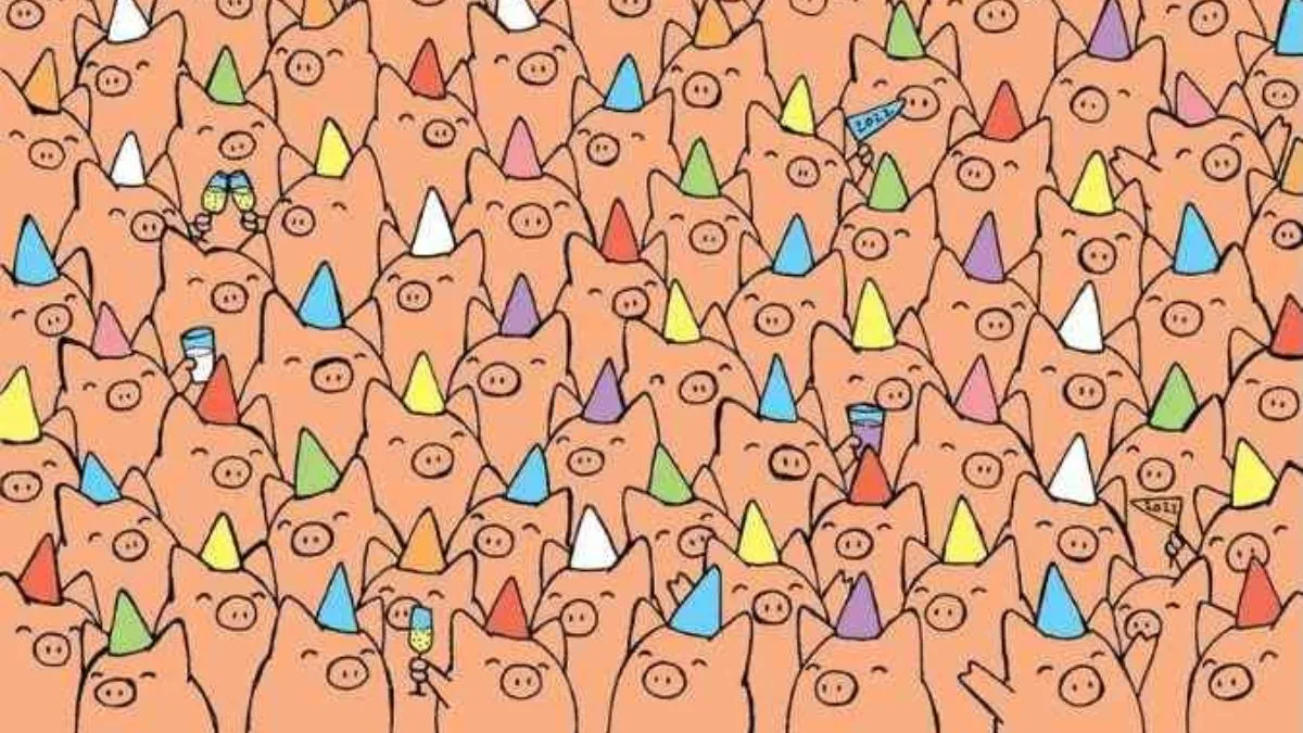 Find three pigs without party hats!