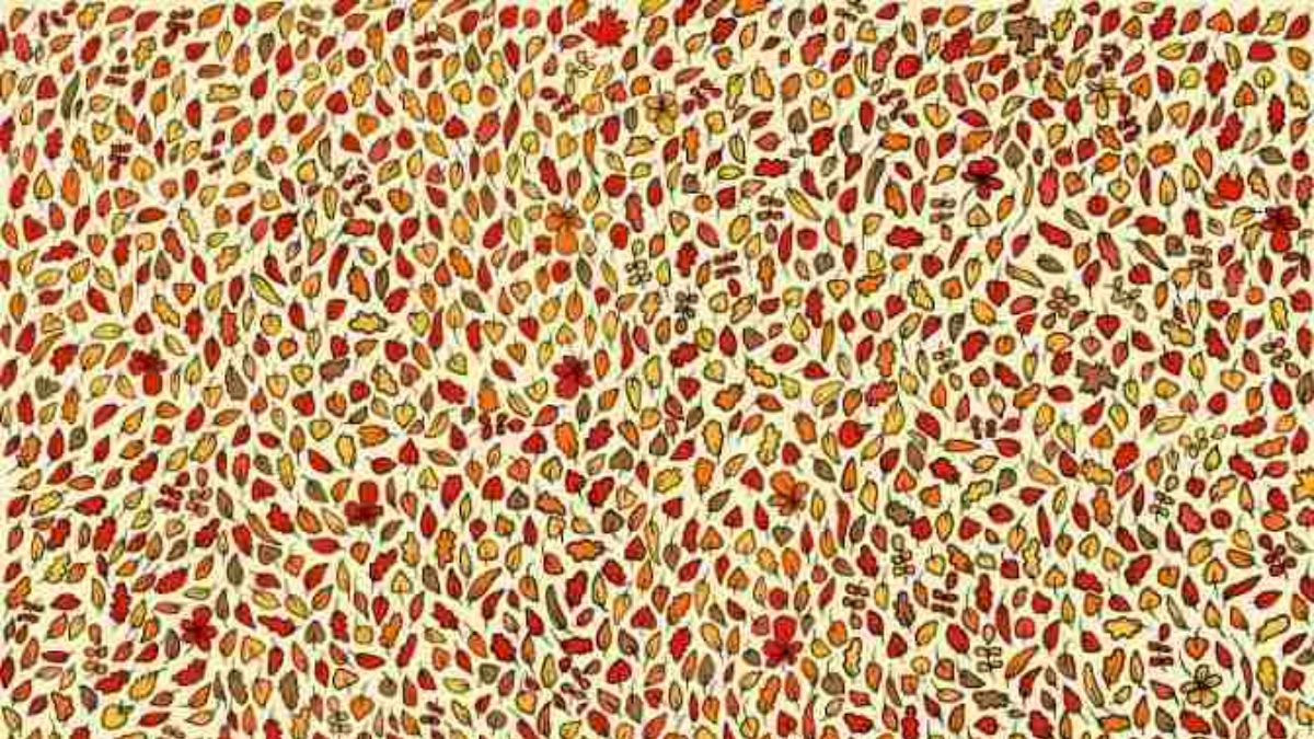 If You Super Sharp With Eyes Like Sniper Then Find 4 Apples Hidden Among Autumn Leaves In 24 Seconds!