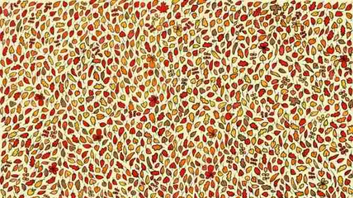 Find four apples among autumn leaves.