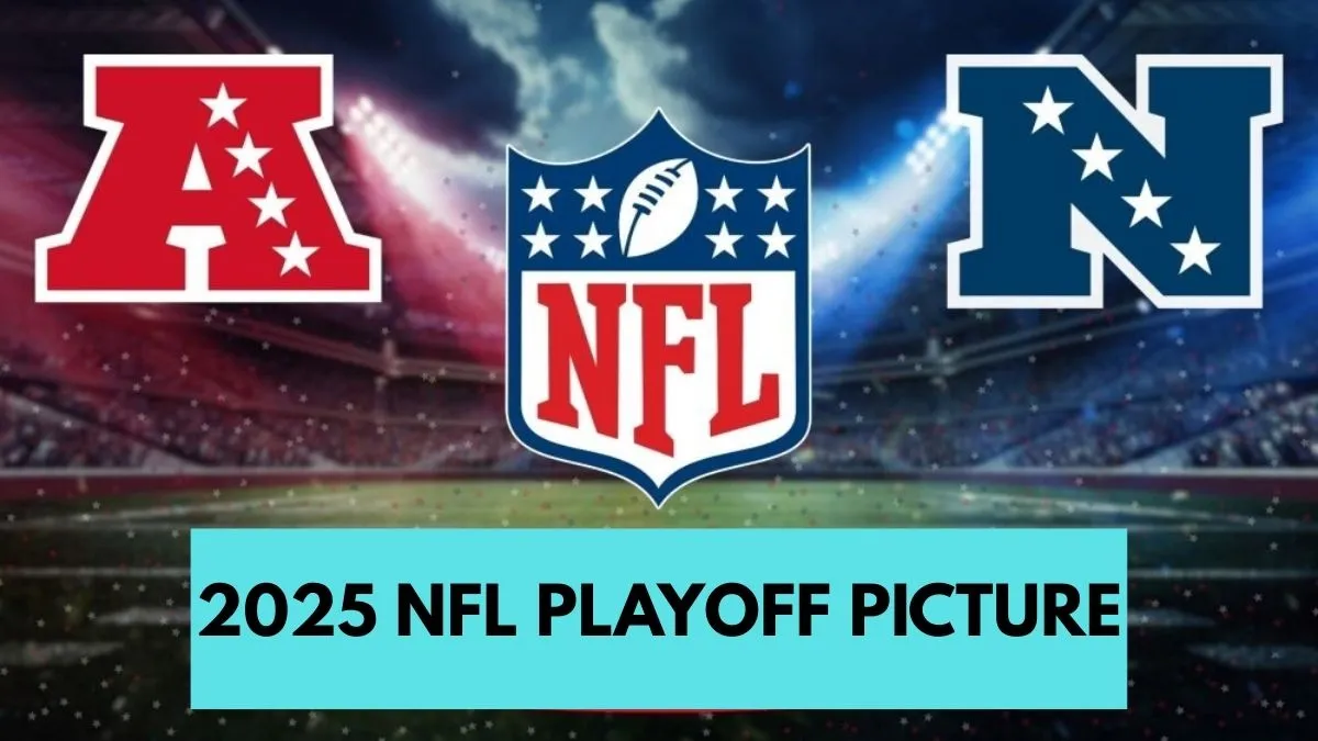 2025 NFL Playoff Picture