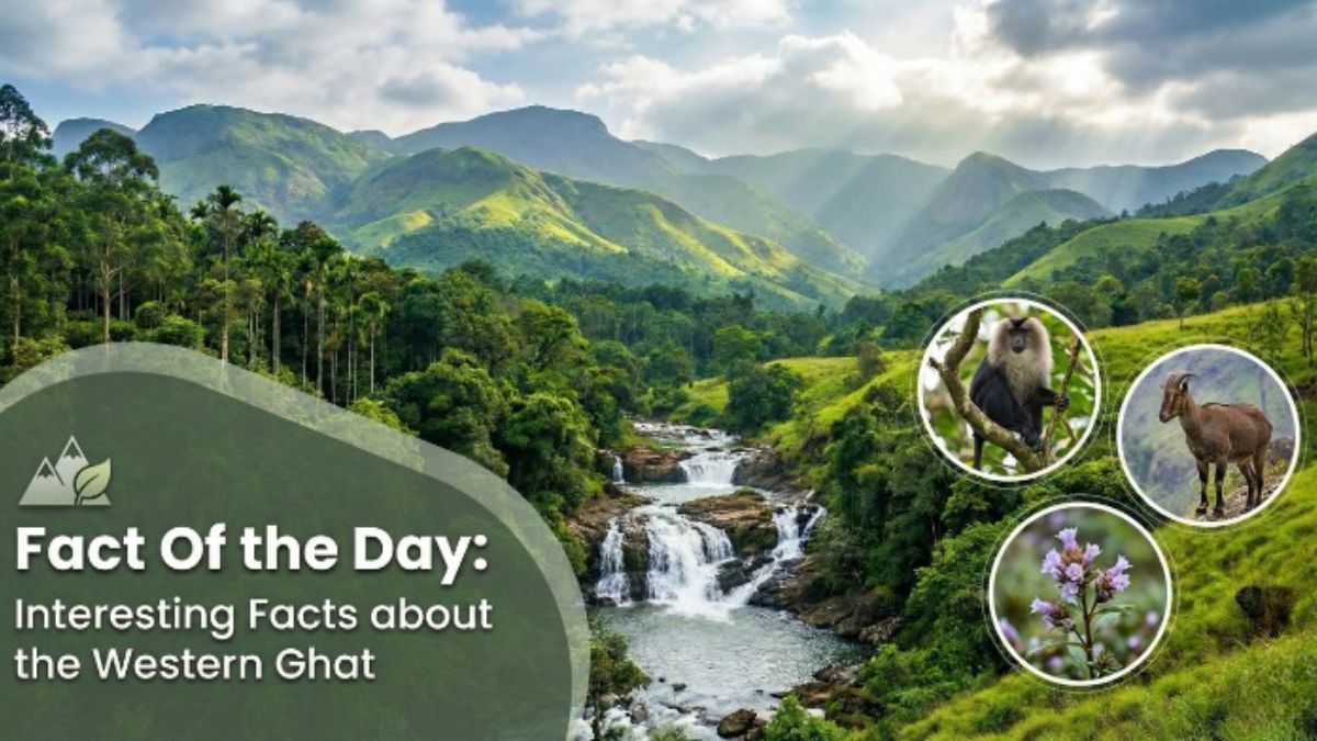 Fact Of the Day: Interesting Facts about the Western Ghat
