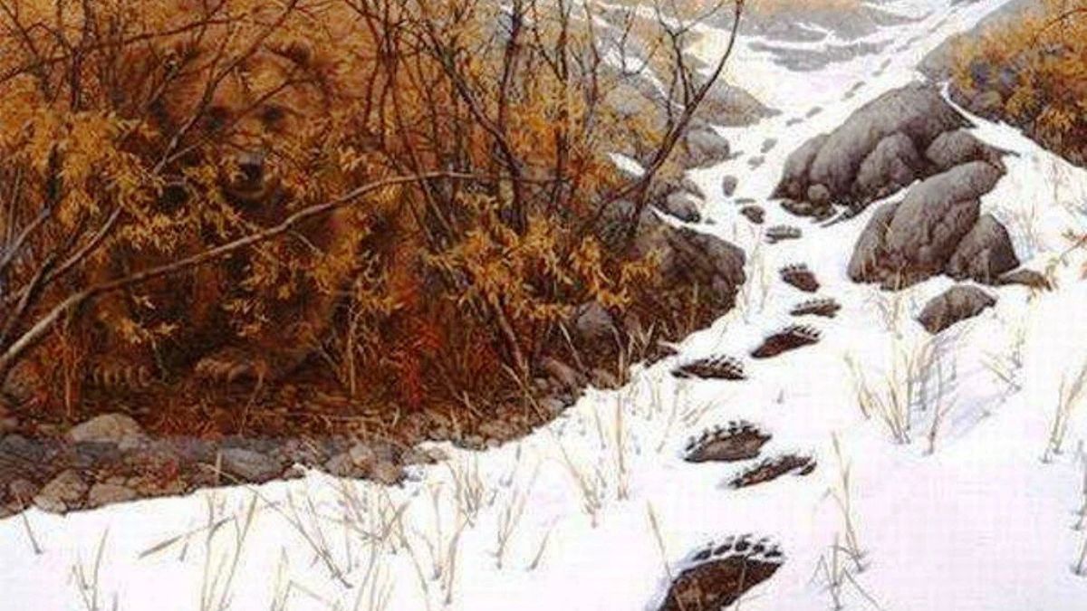 You Must Be Among Top 1% Extremely Visually Sharp If You Can Spot Whose Footprints Are Those In 15 Seconds!