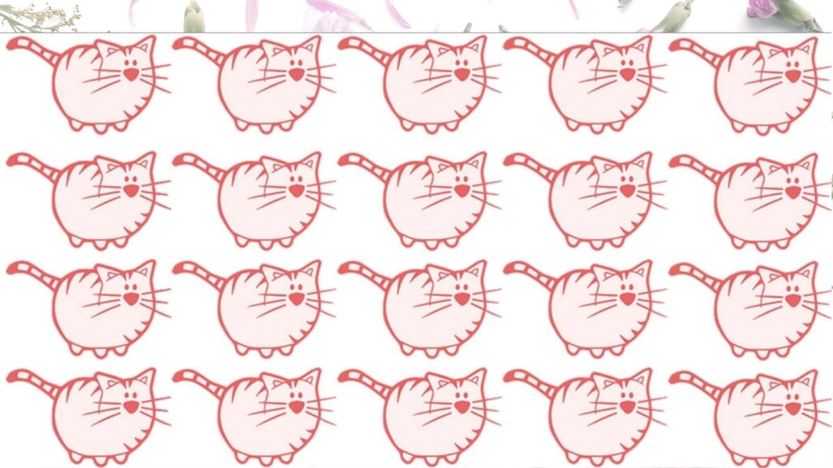 Spot the Odd Cat Among the Multiple Cats Within 5 Seconds to Prove Your Genius IQ Level!