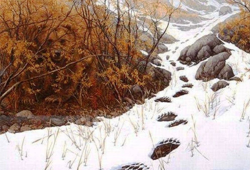 find-hidden-animal-optical-illusion