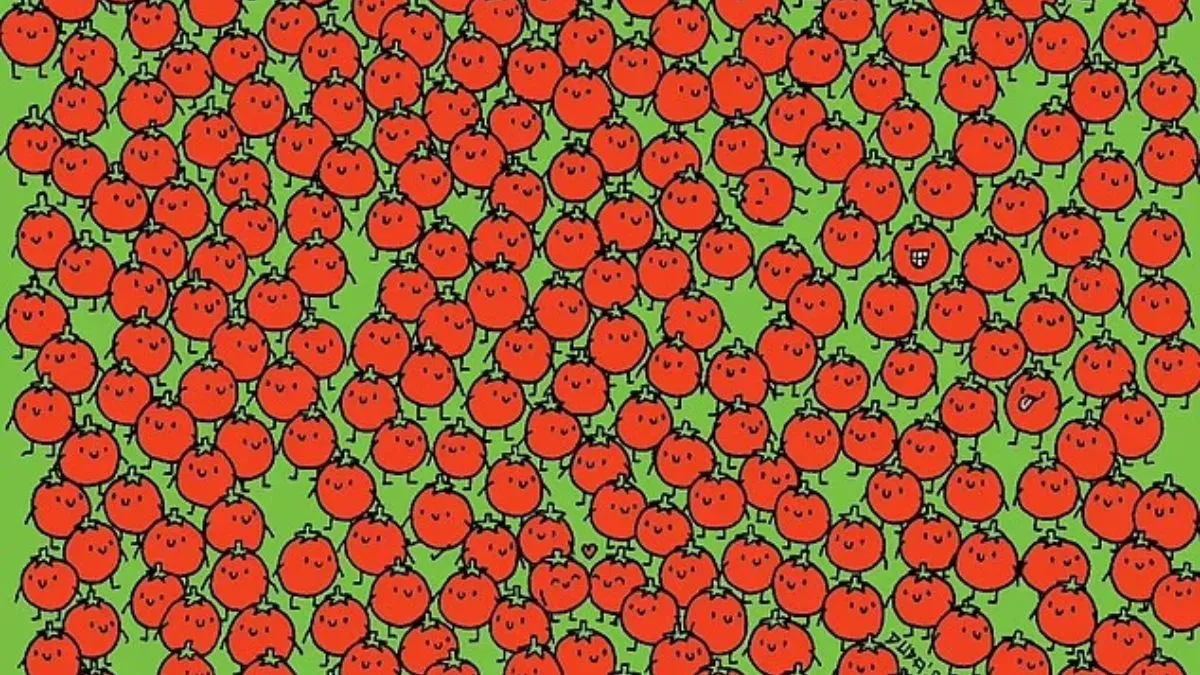 Find three hidden apples among tomatoes.