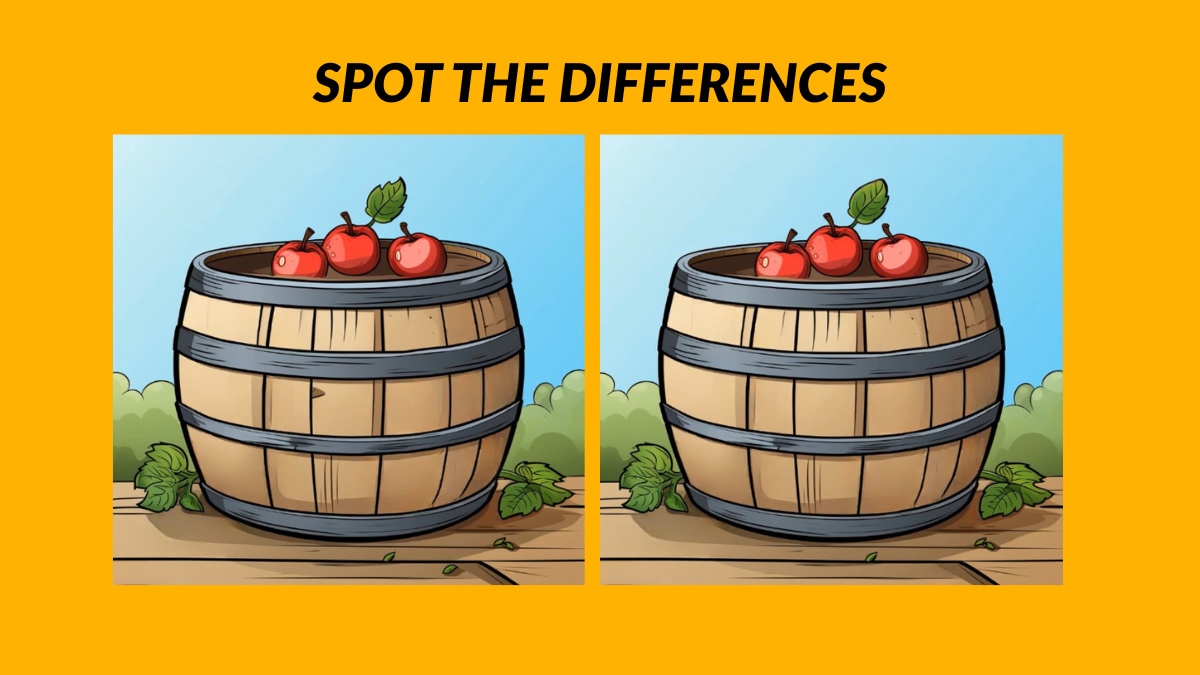 Can You Spot 3 Differences In the Apples On a Barrel In 13 Seconds? Most People Will Miss the 3rd One!
