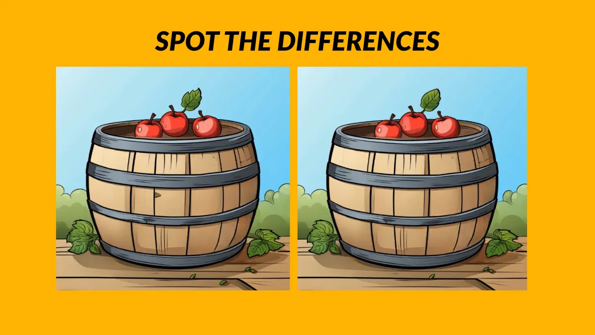 Can You Spot 3 Differences In the Apples On a Barrel In 13 Seconds?