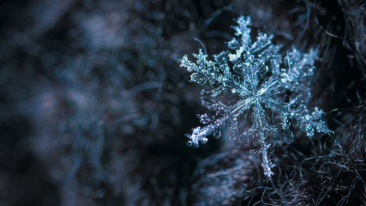 What are Snowflakes? Know all about Snow Shape, Size, and Color