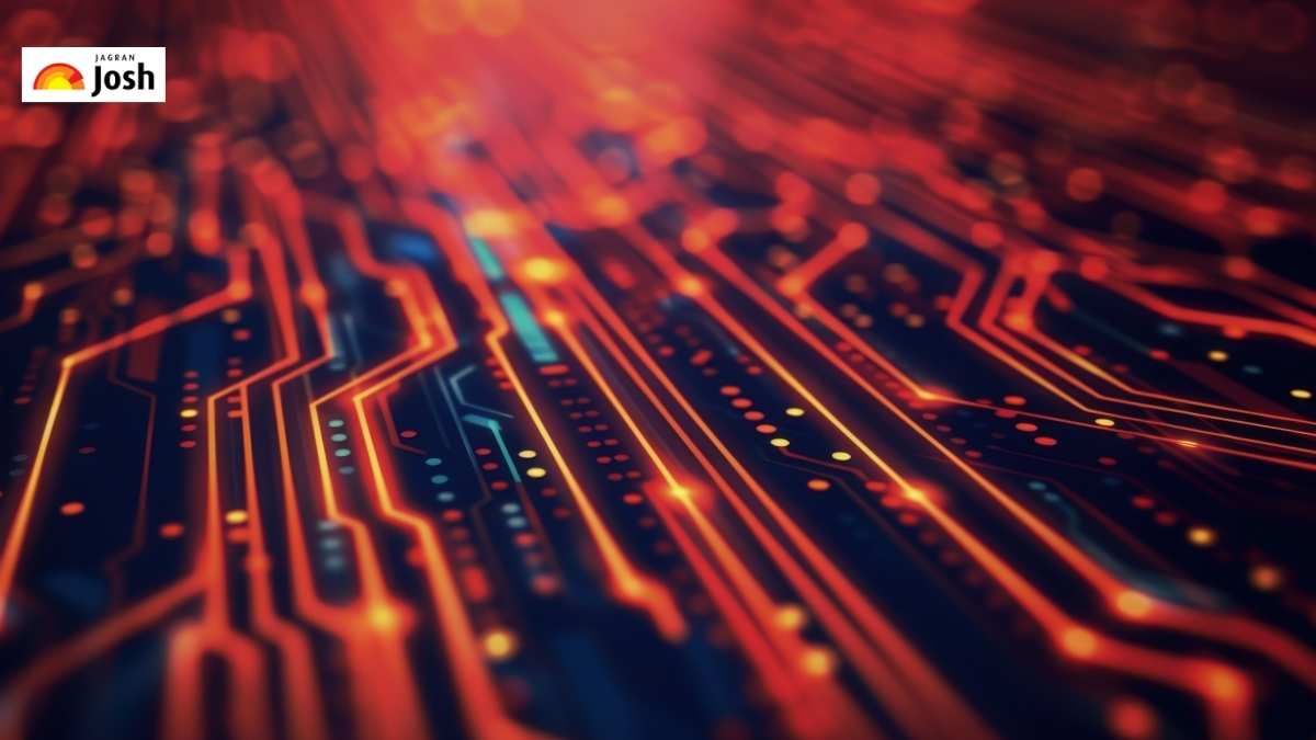 Which Engineering Branch Offers the Highest Salary?