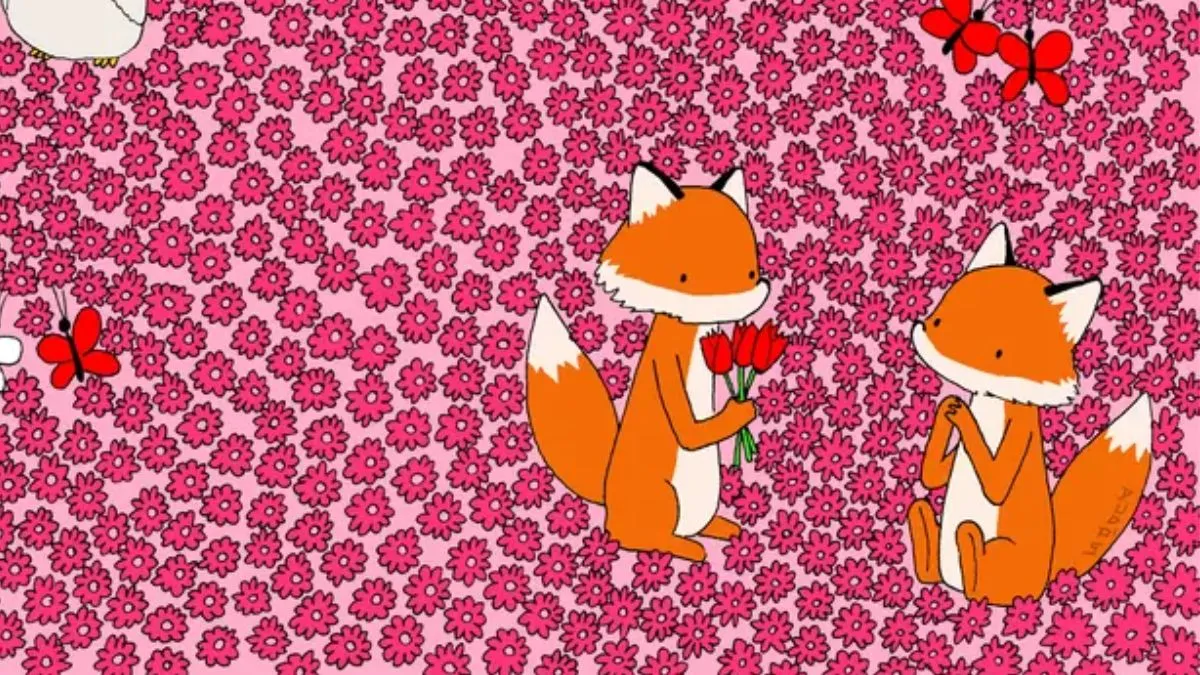 Find the hidden heart.