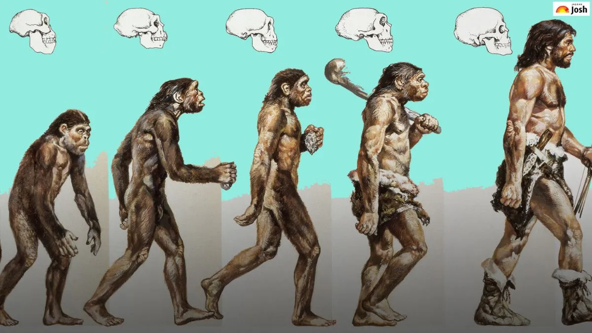 पाषाण काल से जुड़े तथ्य