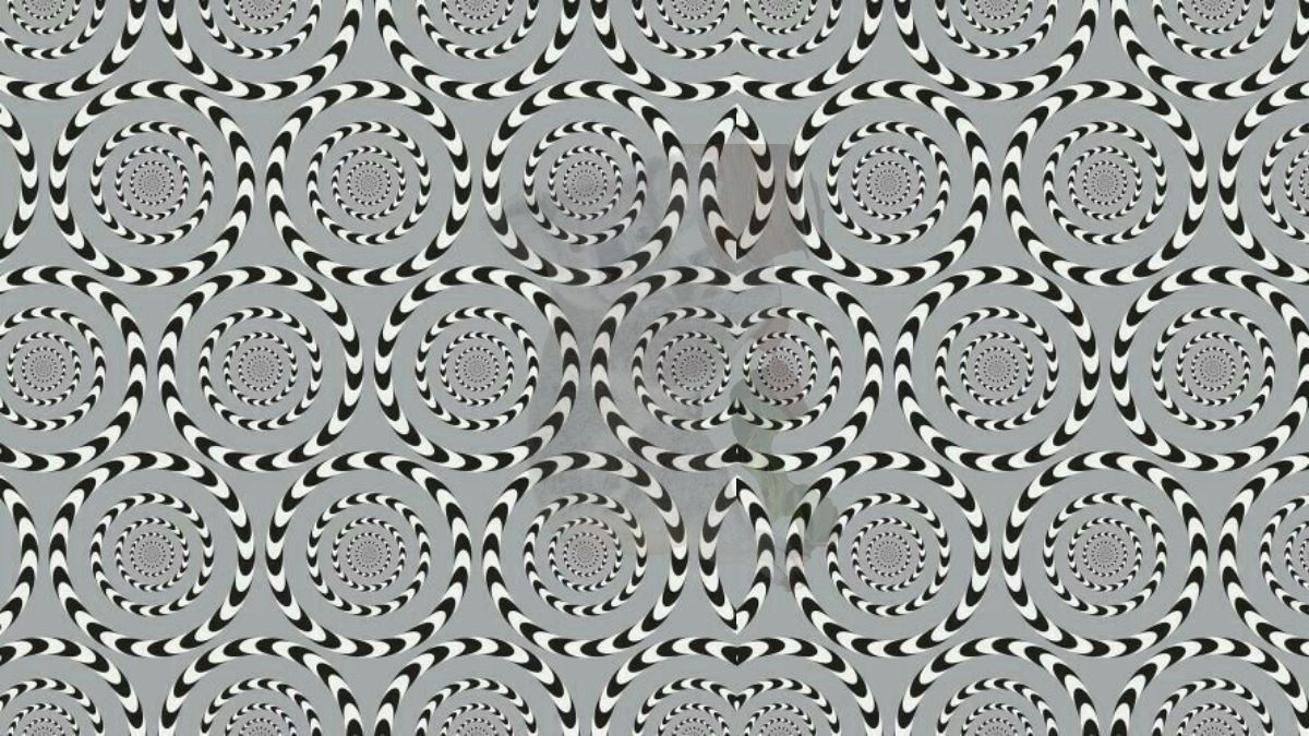 Only a Spy Eye Can Spot the Hidden Animal in this Motion Optical Illusion Within 13 Seconds!