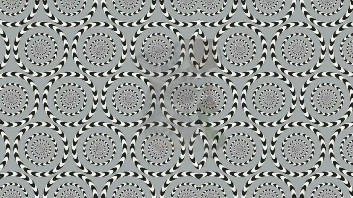 Spot the Hidden Animal in this Motion Optical Illusion Within 13 Seconds!