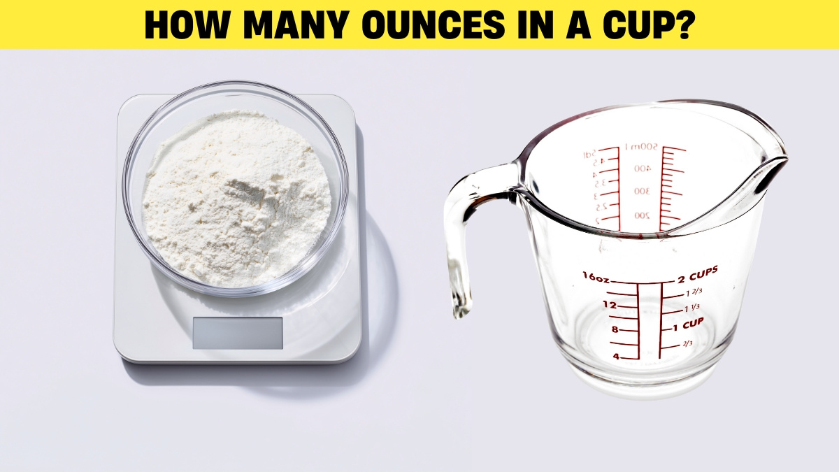 How many ounces are in 1 cup? Check this comprehensive guide to conversions now!