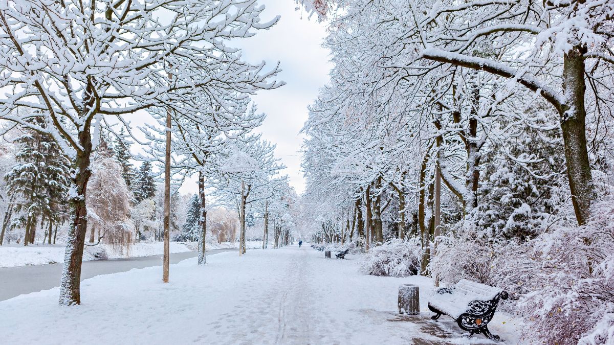 Which Country Is Known as the Land of Snow?